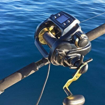 Daiwa Tanacom 1000E - Mulinello Elettrico
