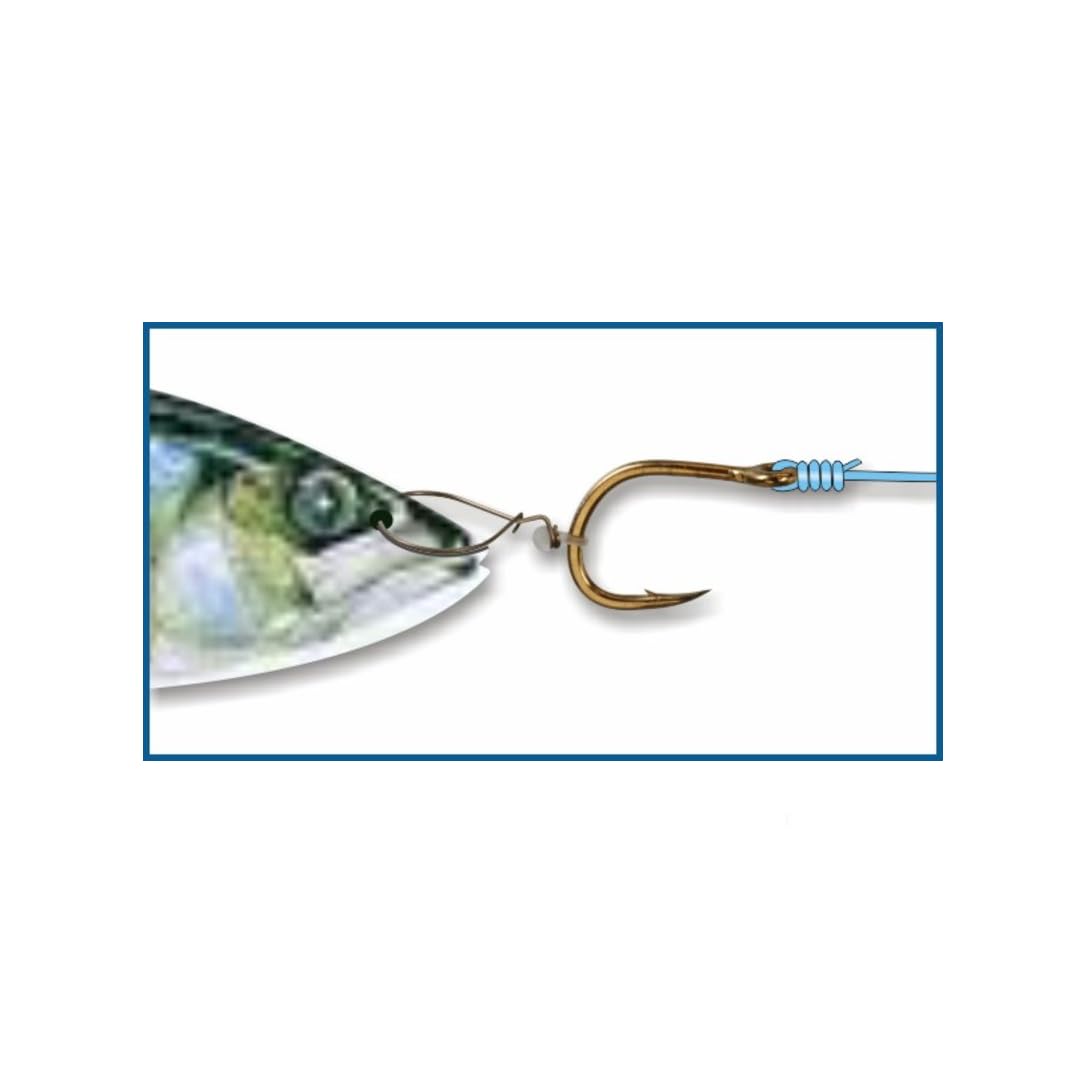 STONFO art.589 NOSE RING 2 Size. 1 ND