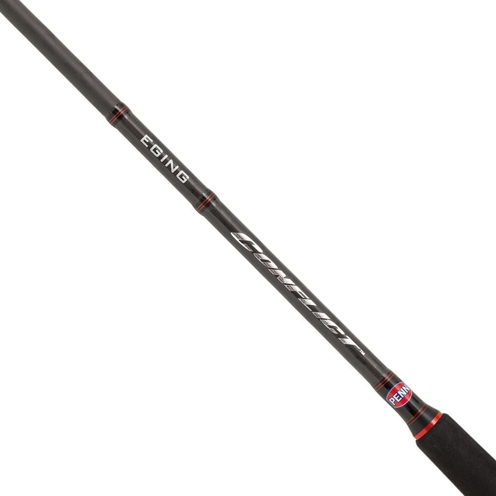 PENN CONFLICT EGING 8.9' ACT. 2.5-4.0 - Bigfish
