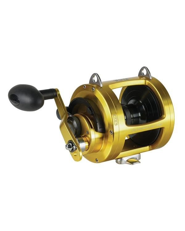 TICA TM 16EW - Bigfish