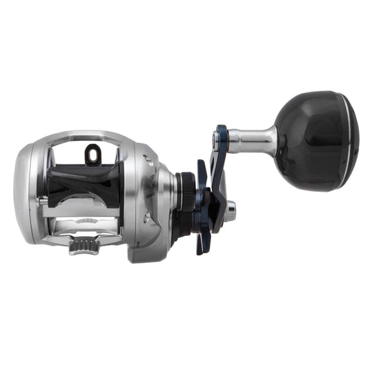 SHIMANO TRANX 301HG - Bigfish