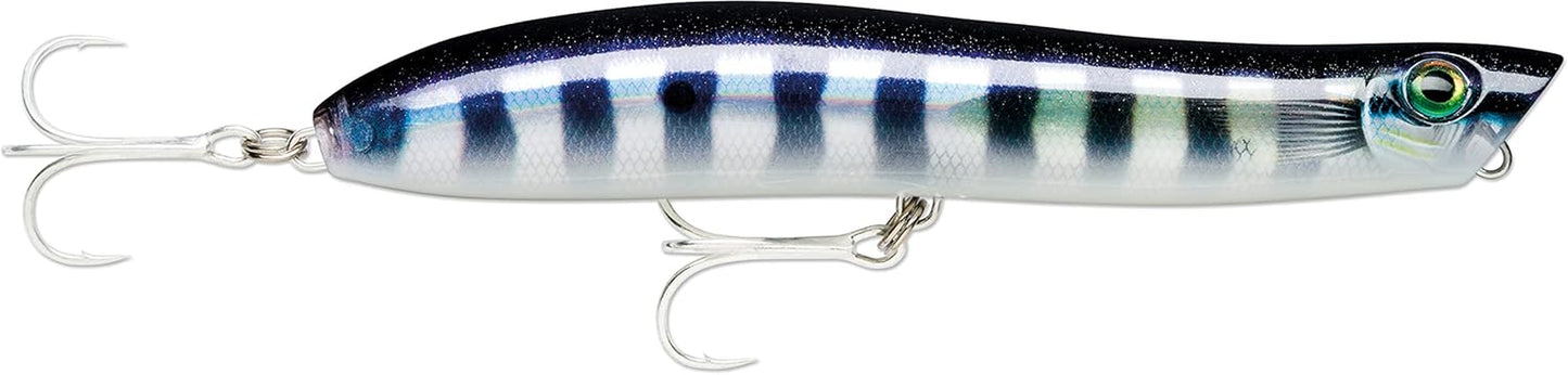 - Esca Artificiale Spinning Maxrap Walk'N Roll - in ABS - Esca per Pesca in Mare & Acqua Dolce Galleggiante - Profondità Di Nuoto Da Superficie - 10Cm / 13G - Prodotta in Estonia - Baby Cuda