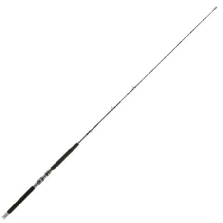 ITALCANNA ZEFIRO 12LB - Bigfish
