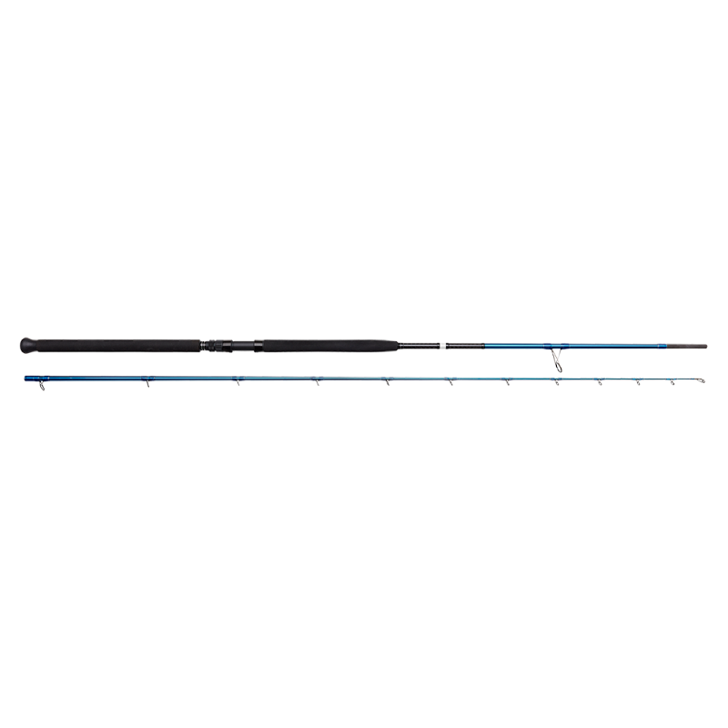 SAVAGE GEAR 9.6' 20-80 G - Bigfish