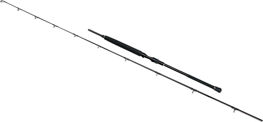 PENN RAMPAGE 2 BOAT 20-30 LB