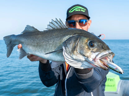 JACKFIN SALTY DOG 100