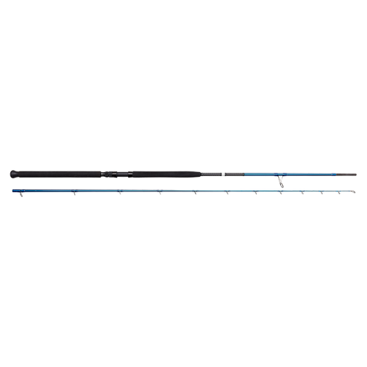 SAVAGE GEAR 9.6' 20-80 G - Bigfish